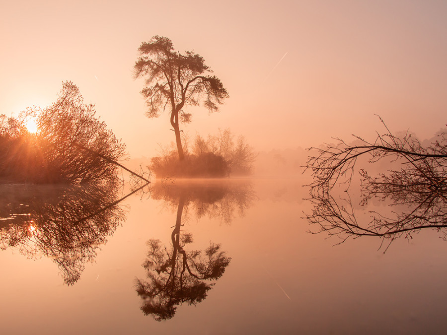 Natuurgebied Oisterwijkse bossen en vennen