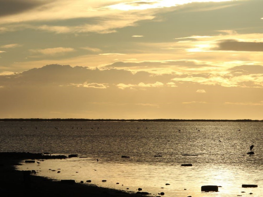 Sunset Camargue