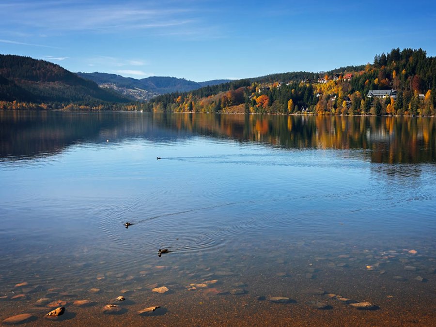 De grote Titisee De grote Titisee