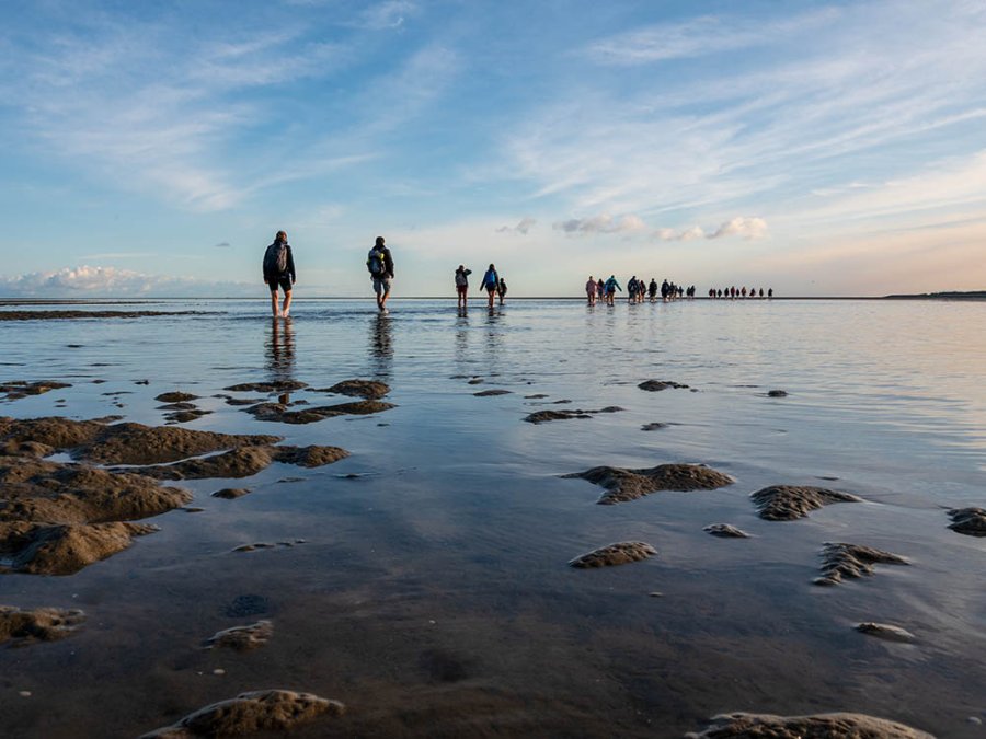 Wadlopen Sleeswijk-Holstein Wadlopen Sleeswijk-Holstein