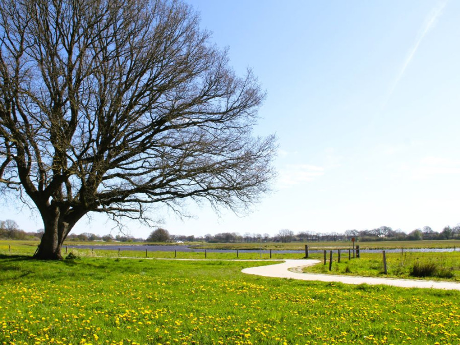 Fietsen langs de Vecht