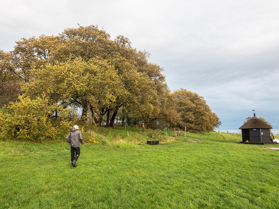 Klif bij Rijsterbos Klif bij Rijsterbos