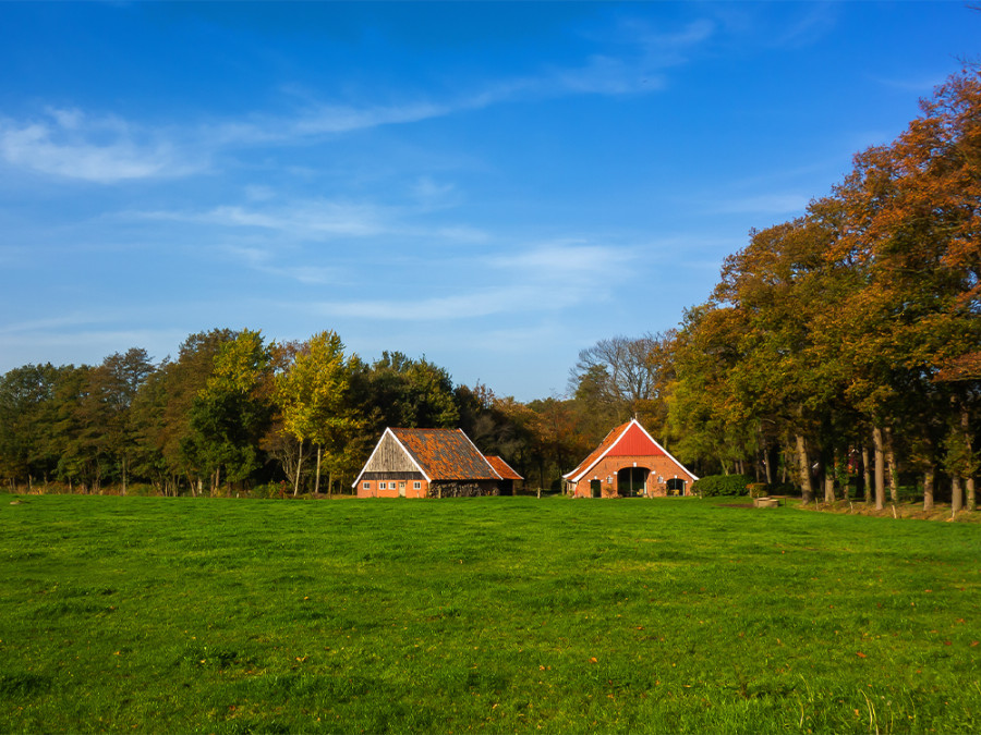 Mooiste klompenpaden