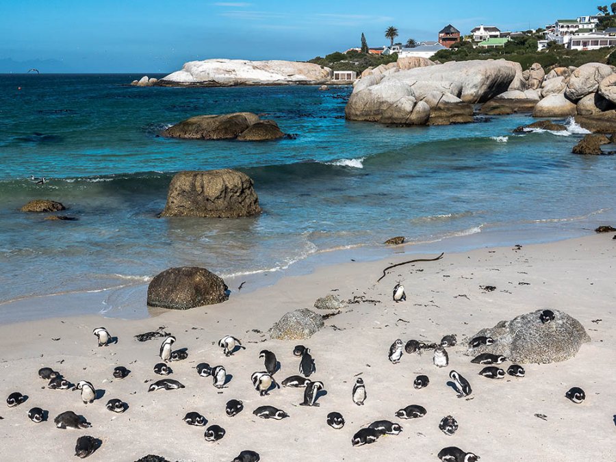 Boulders Beach Boulders Beach