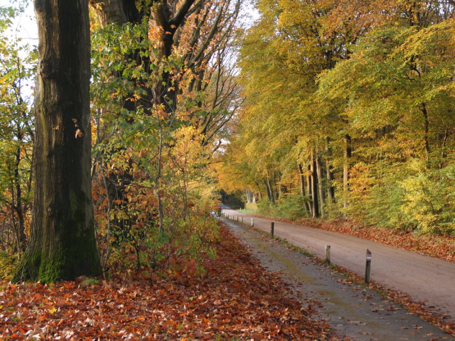 Fietspad Lunteren