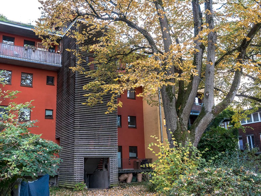 Veel groen Veel groen