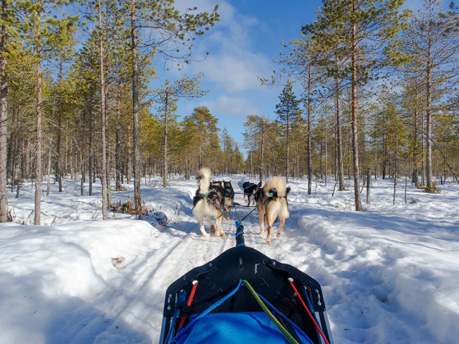 Winter Suomussalmi Winter Suomussalmi