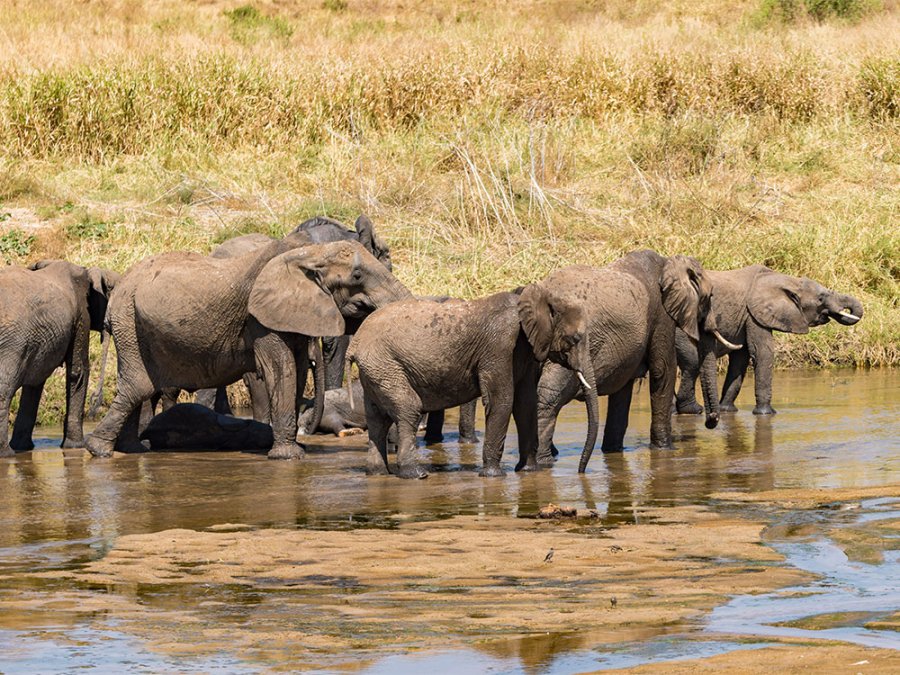 Tanzania Nomads route