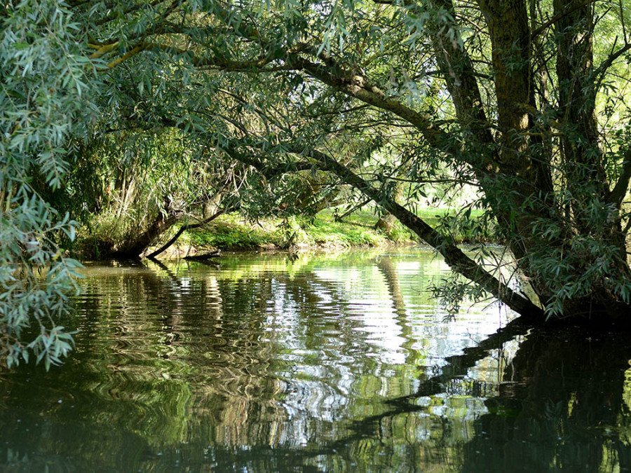 Moerassen van Audomarois Moerassen van Audomarois