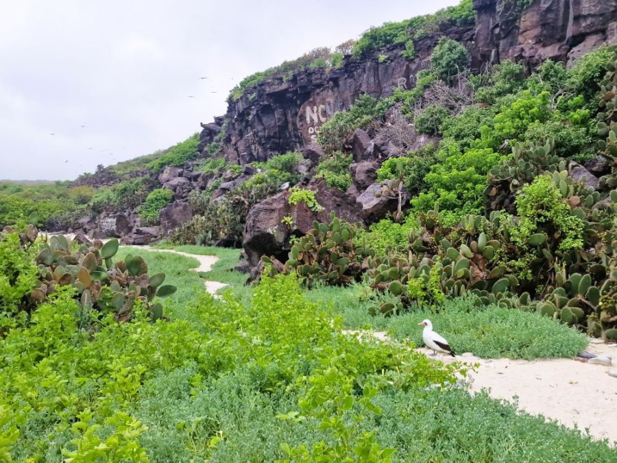 Genovesa hike