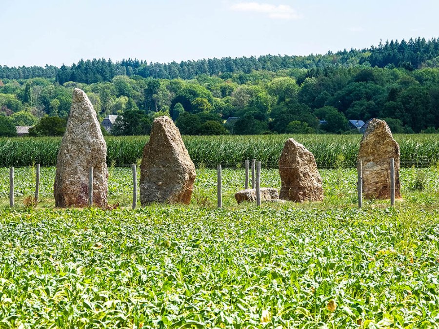 Menhirs van Wéris