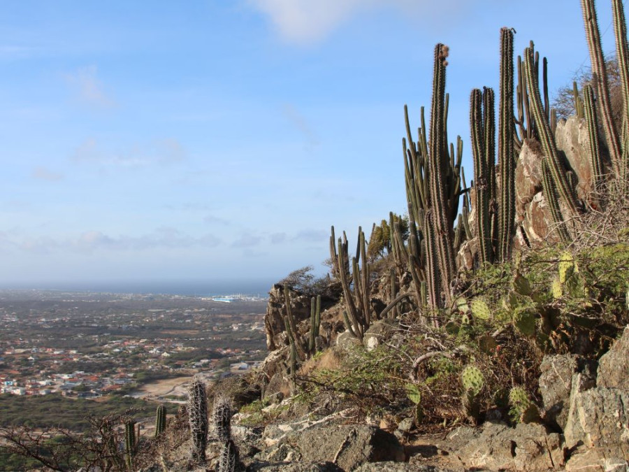 Hooiberg Aruba