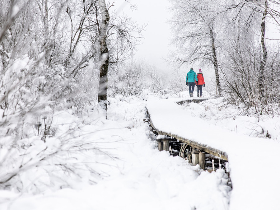 Hoge Venen winter