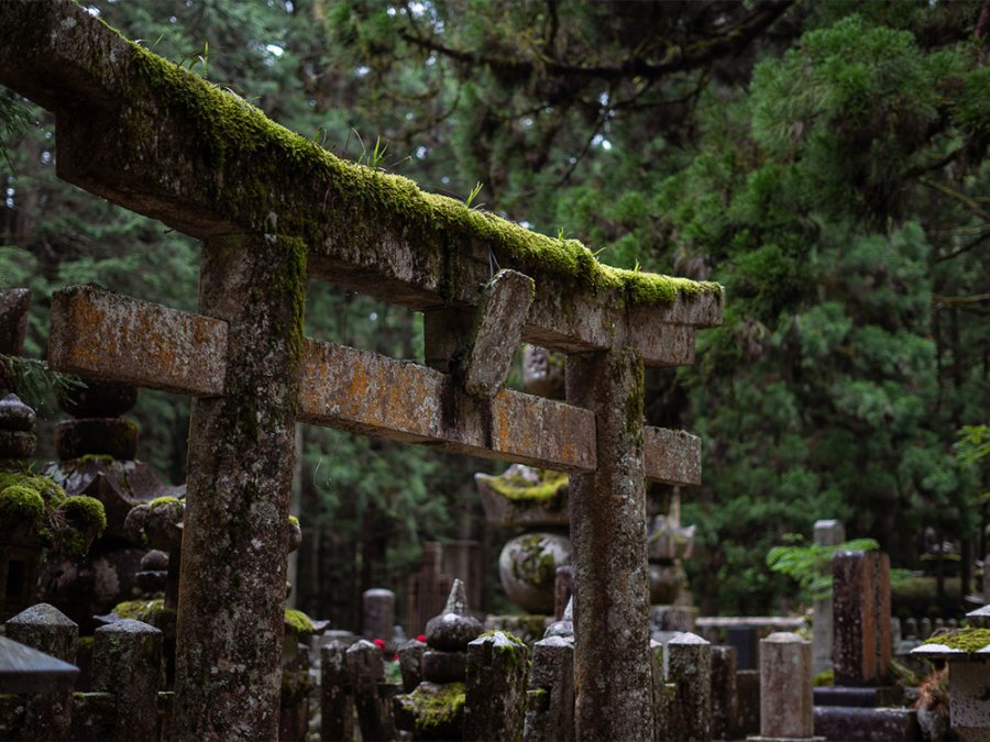 Mount Koya Mount Koya