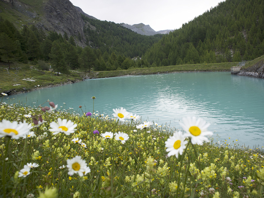 5 lakes hike