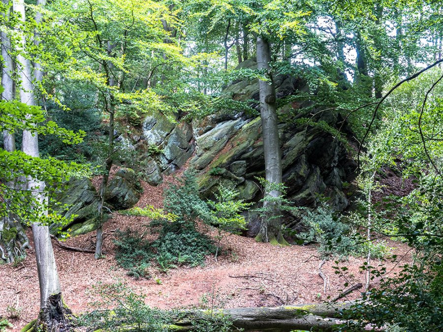 Hexenpfad Tecklenburg Hexenpfad Tecklenburg