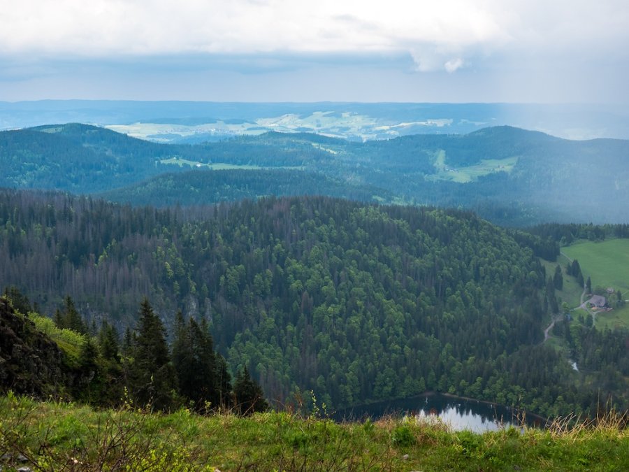 De Feldberg