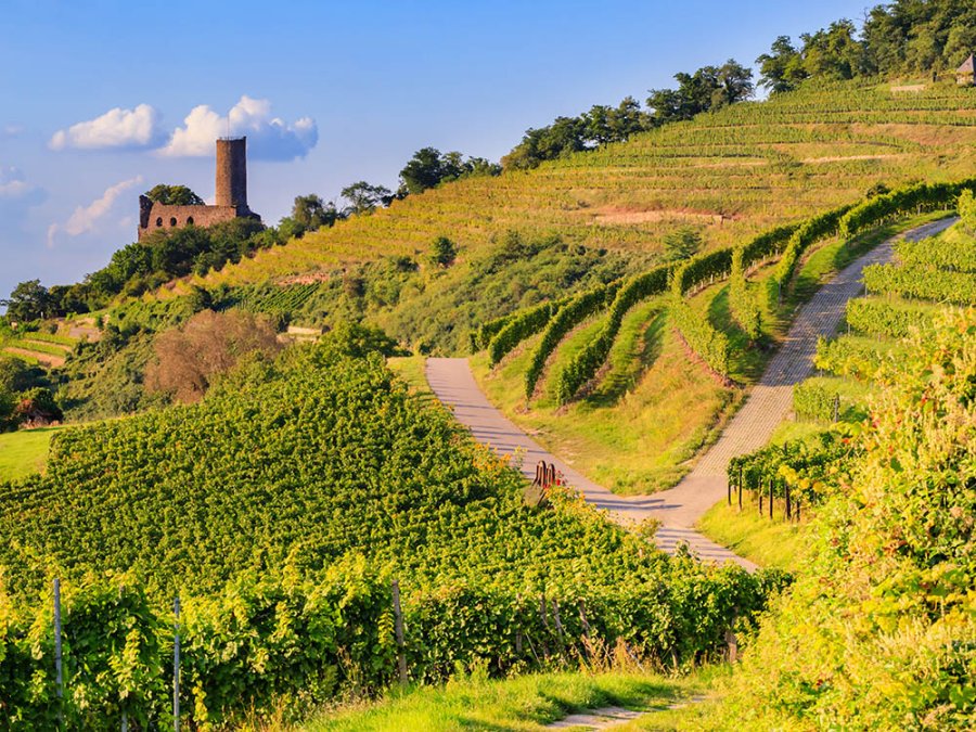 Badische Weinstrasse