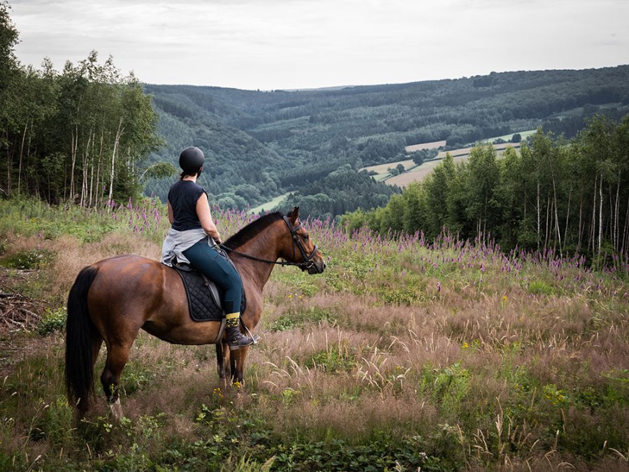 Natuurpark van de zuidelijke Ardennen Natuurpark van de zuidelijke Ardennen