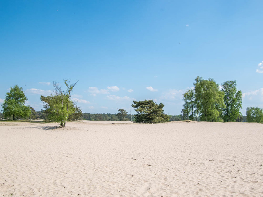 Soesterduinen