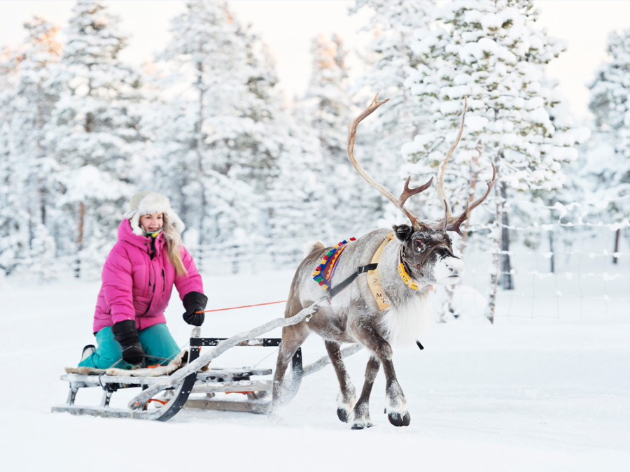 Rendiertocht Zweeds Lapland Rendiertocht Zweeds Lapland