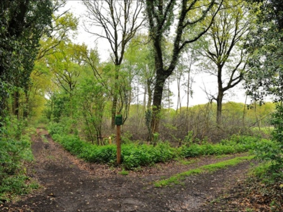Fietsen in brabant