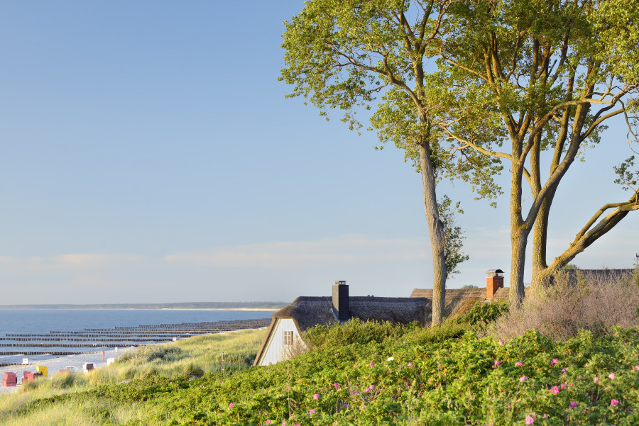 Ahrenshoop Mecklenburg Ahrenshoop Mecklenburg