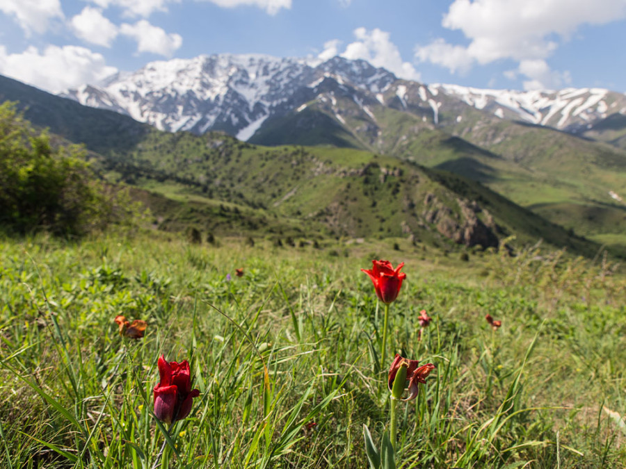 Natuurgebieden Kazachstan