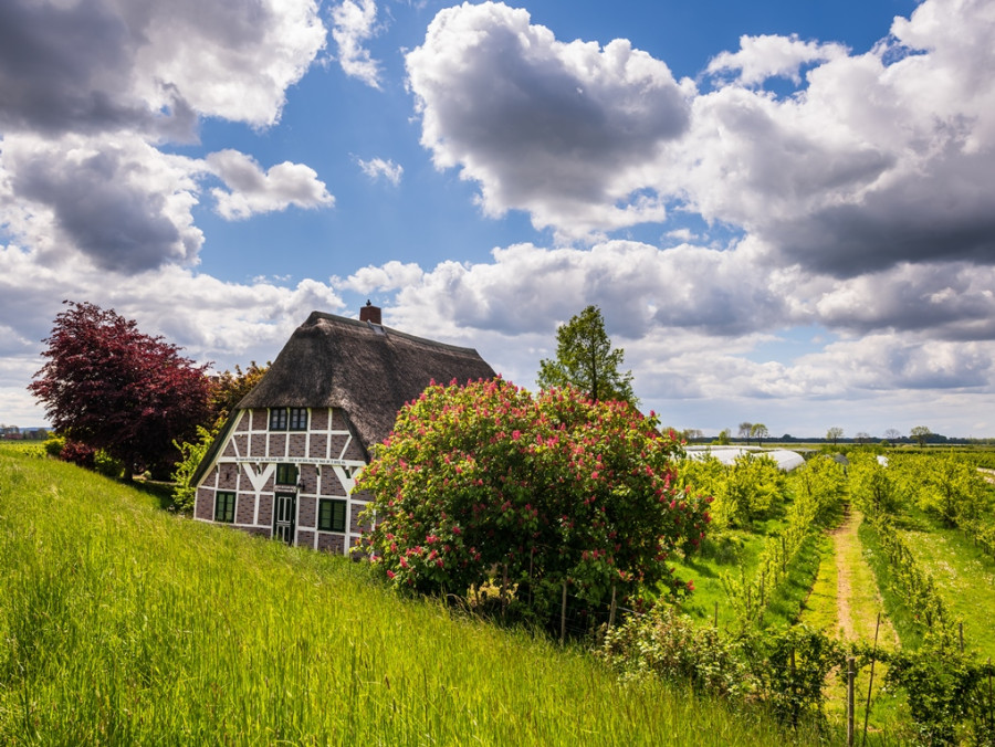 Oud vakwerkhuis in Altes Land Oud vakwerkhuis in Altes Land