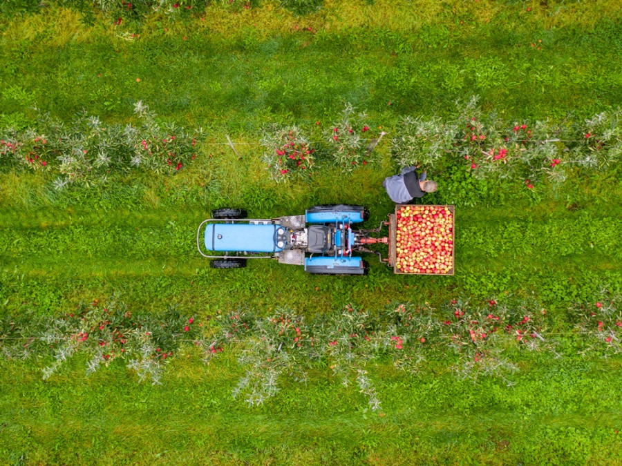 Fruitkwekerij van boven Fruitkwekerij van boven