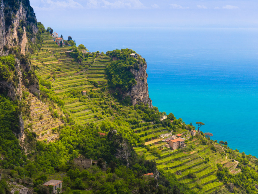 Amalfi Amalfi