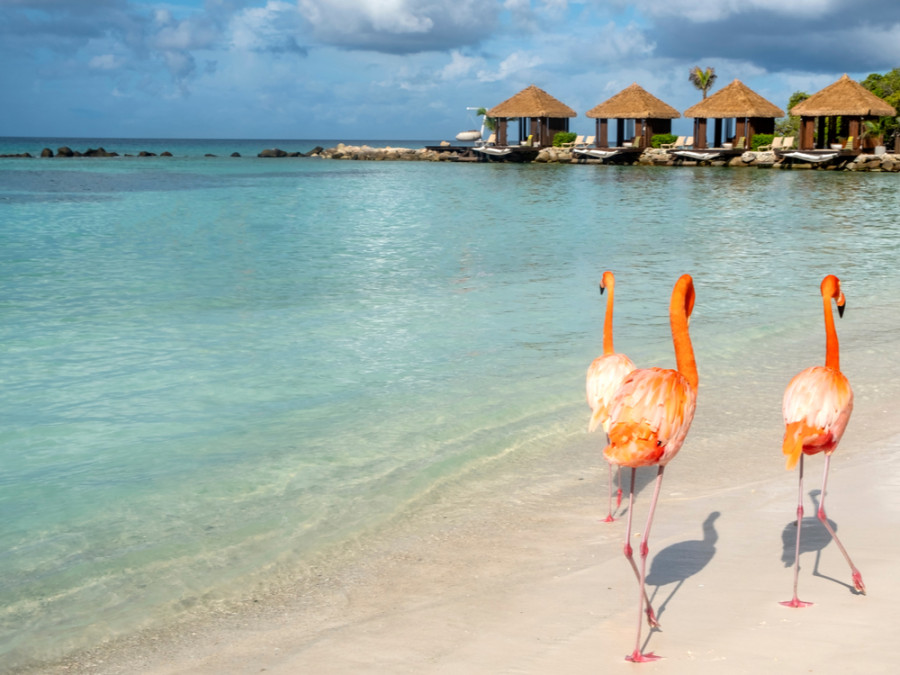 Mooiste plekjes Aruba Mooiste plekjes Aruba