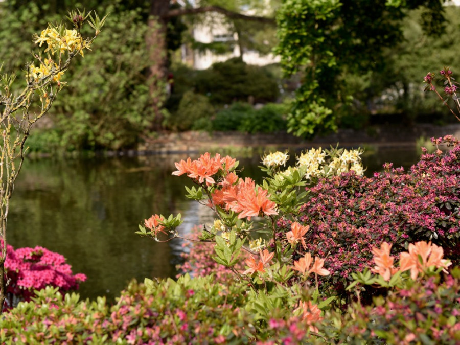 Citadelpark Gent Citadelpark Gent
