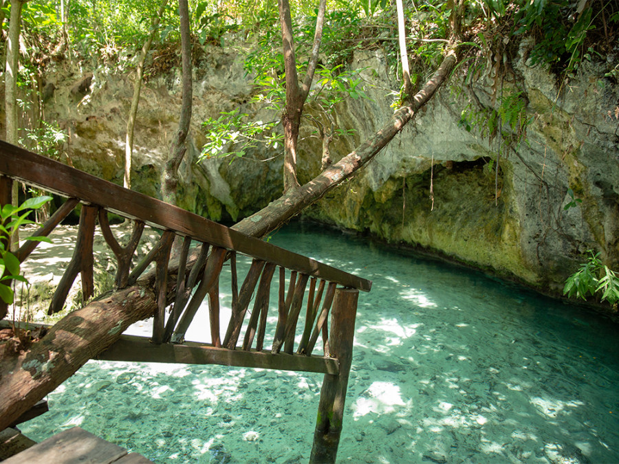 Natuur in Yucatan Natuur in Yucatan