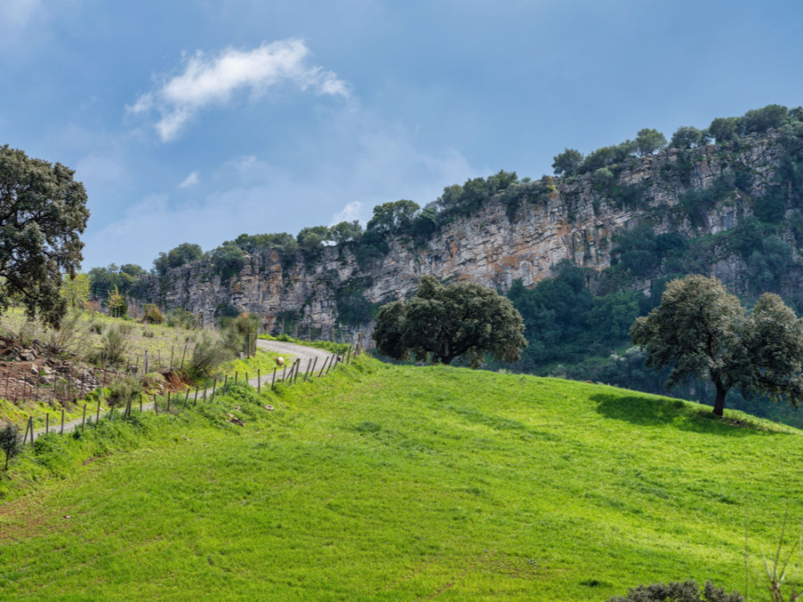 Sierra de Grazalema Sierra de Grazalema