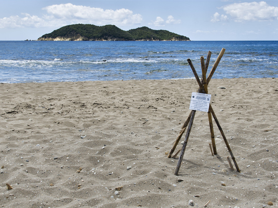 Dafni Beach Zakynthos Dafni Beach Zakynthos