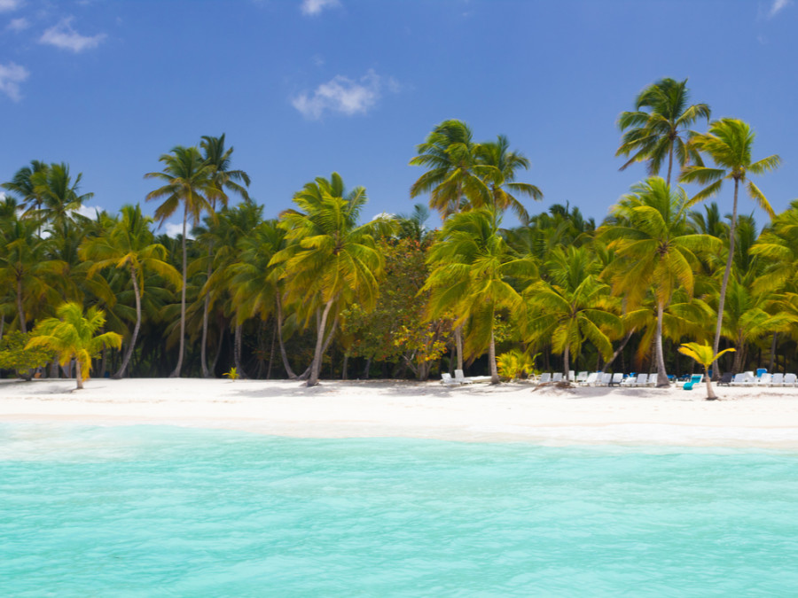 Saona Saona