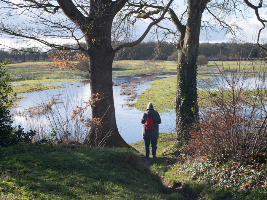 Wandelen Drentsch Aa Wandelen Drentsch Aa
