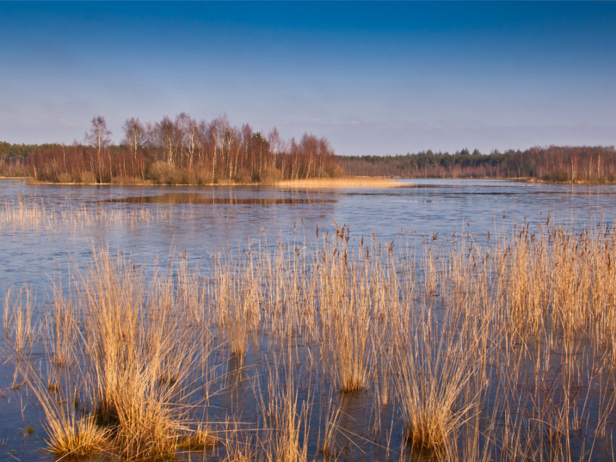 Wandelroute Drents Friese Wold Wandelroute Drents Friese Wold