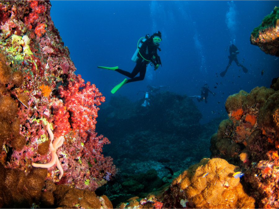 Duiken Krabi Duiken Krabi