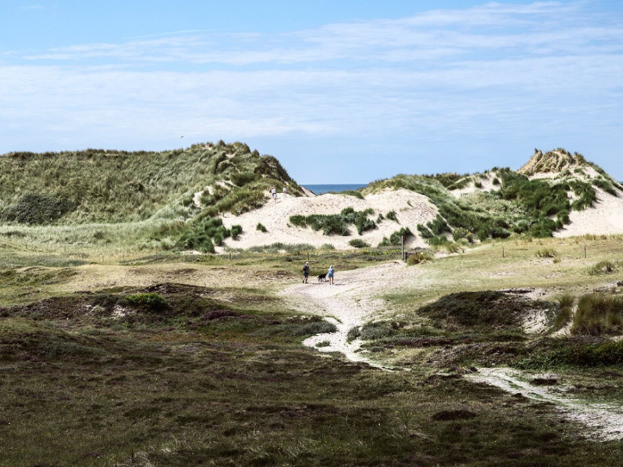Duingebied Schoorl Duingebied Schoorl