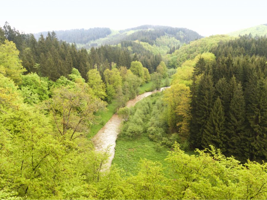 Mooiste wandelroutes Eifel Mooiste wandelroutes Eifel