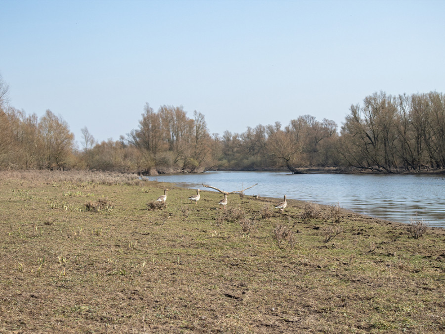 Natuur Duursche Waarden Natuur Duursche Waarden
