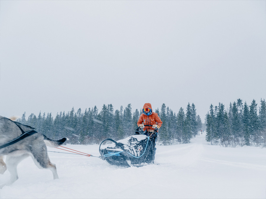 Expeditie met de huskyslee Expeditie met de huskyslee