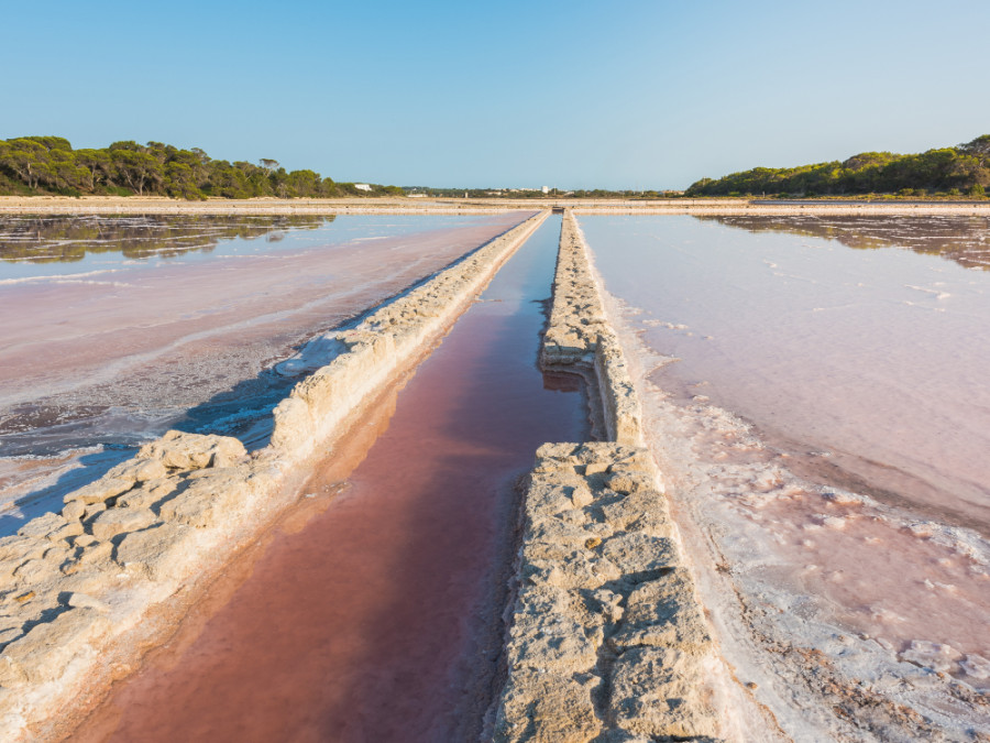 Ses Salines zoutmeren Ses Salines zoutmeren