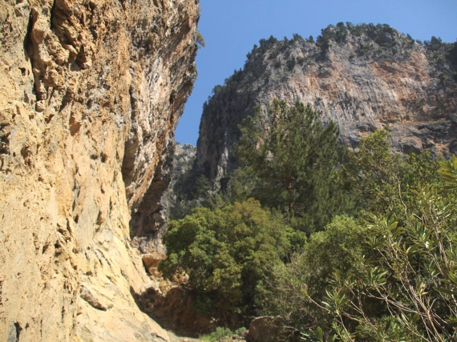 Kabak - Alinca Kabak - Alinca