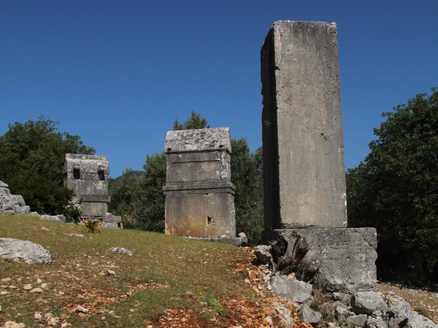 Apollonia pilaartombes Apollonia pilaartombes