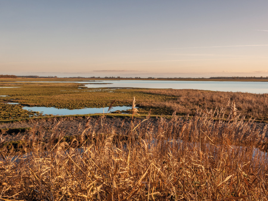 Lauwersmeer Lauwersmeer