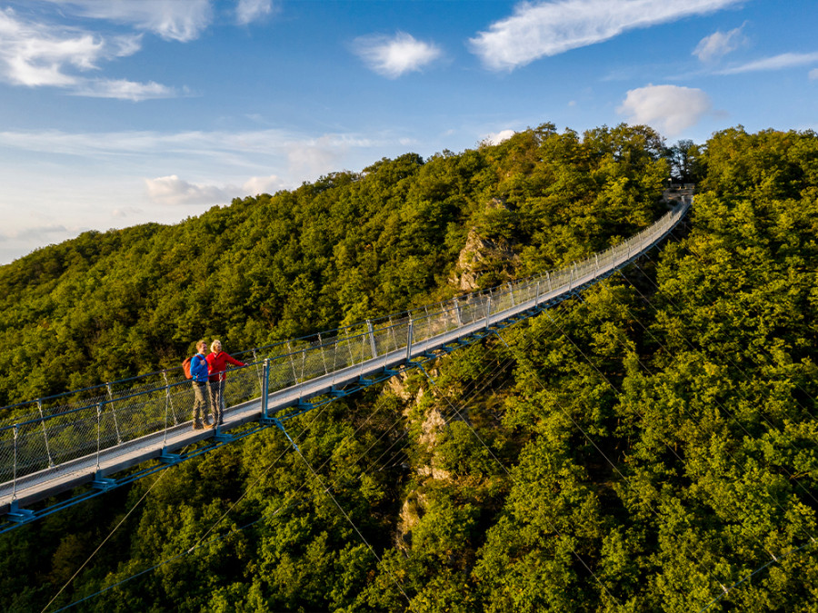 Geierlay hangbrug Geierlay hangbrug