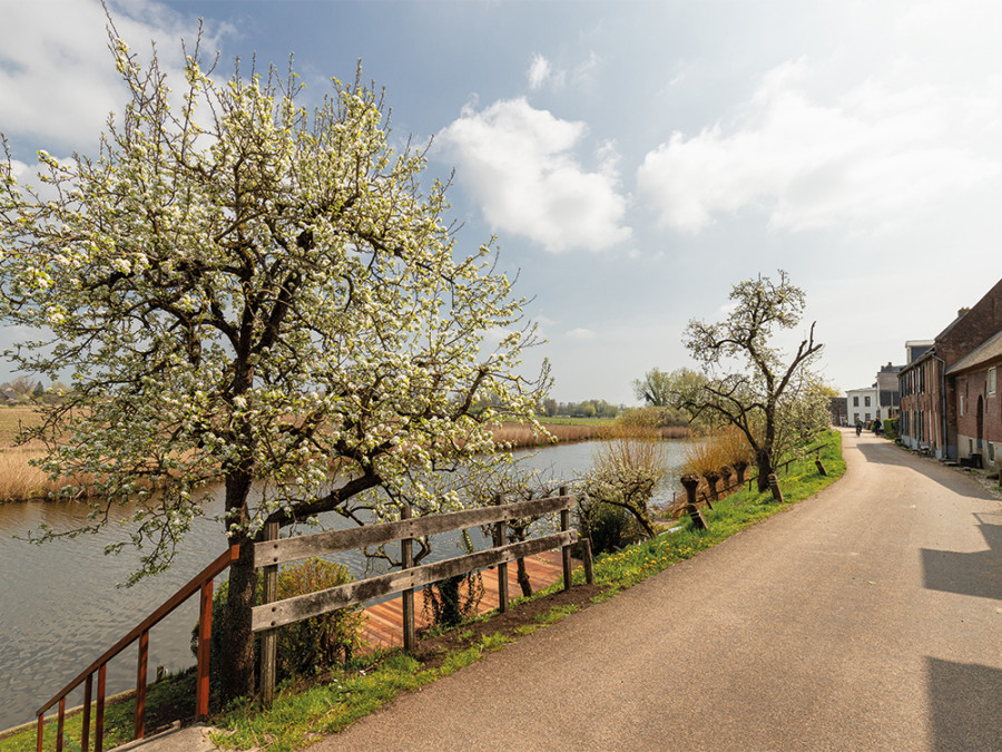 Mooiste gebieden Gelderland Mooiste gebieden Gelderland